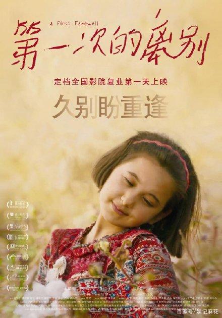 南澳大利亚州驾驶证怎么买到仿制假爱尔兰护照模板